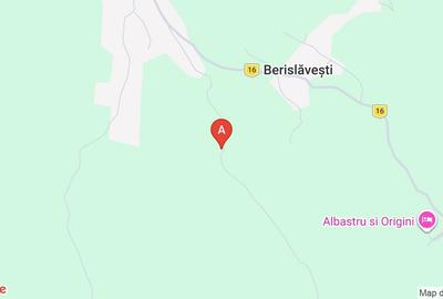 Teren extravilan de 140000 mp, în Berislăvești - 1