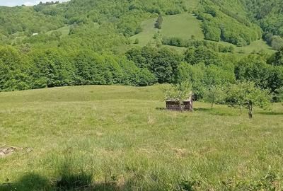 Teren de 20000 mp, în Gura Cornei