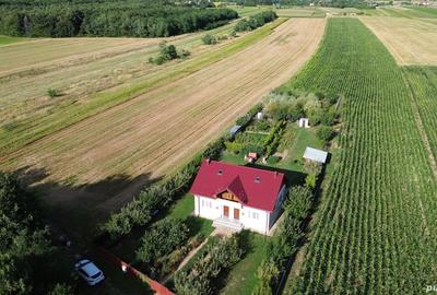 Teren de 11000 mp, în Lăceni - 9