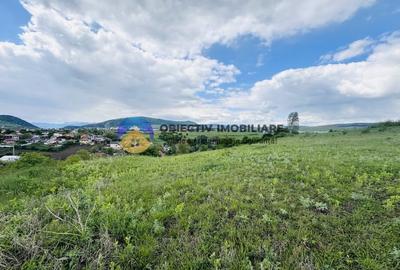 Teren agricol intravilan de 3000 mp, în Ciritei - 4