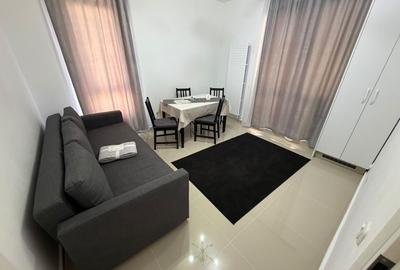 Apartament cu 2 camere în Roșu