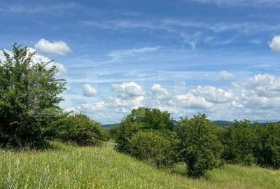 Teren de 3000 mp, în Viișoara - 2