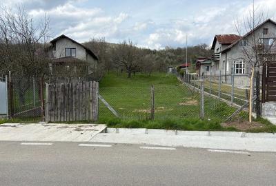 Teren de 9140 mp, în Aninoasa - 4
