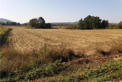 Teren de 11000 mp, în Fârdea - 1