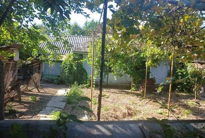 Casă cu Teren 1800 Mp în David