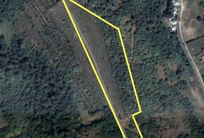 Teren de 16400 mp, în Gâlmeia