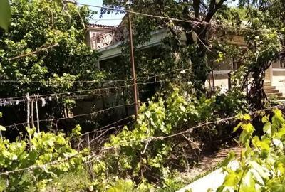 Casă cu 3 camere în Zorleni - 3