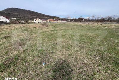 Teren de 4400 mp, în Viișoara - 4
