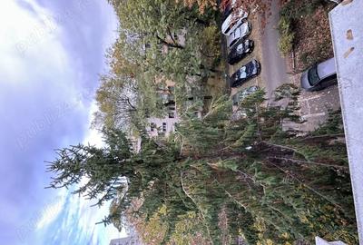 Apartament cu 2 camere semidecomandat în Titan - 9