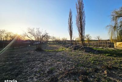 Casă cu 5 camere cu Teren 2452 Mp în Central - 3