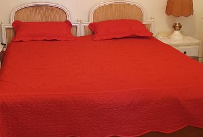 Casă cu 5 camere cu Teren 1550 Mp în Licuriciu - 4