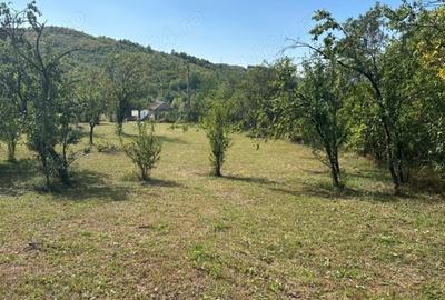 Teren de 3000 mp, în Central - 10