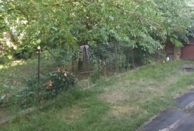 Casă cu 3 camere cu Teren 2523 Mp în Josani - 1