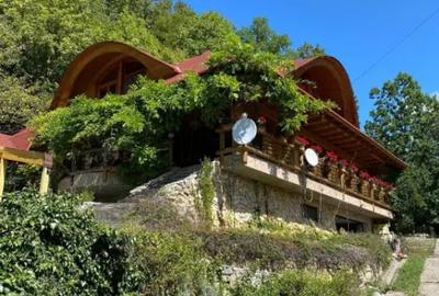 Casă cu 7 camere cu Teren 17000 Mp în Cărbunari - 12