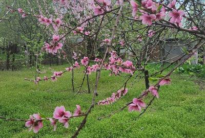 Casă cu 4 camere în Bucov