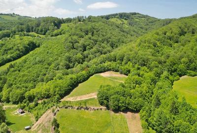 Teren Construcții extravilan de 16000 mp, în Poiana Mărului - 8