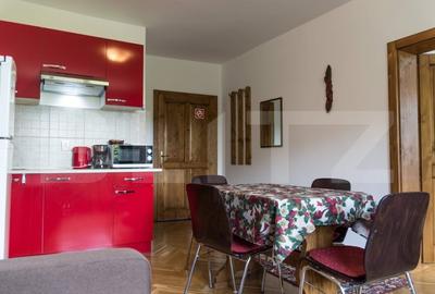 Apartament cu 2 camere semidecomandat, mobilat în Brașovul Vechi