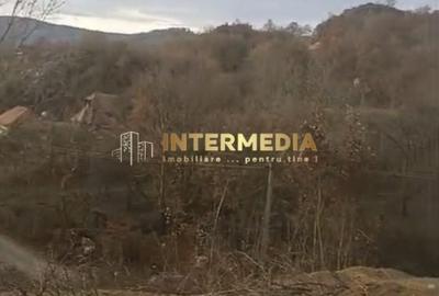 Spațiu comercial, în Văleni - 1