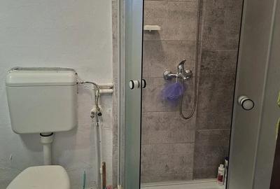 Casă cu 1 camere cu Teren 100 Mp în Muncitoresc - 8