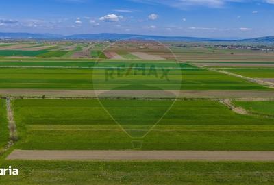 Teren de 4000 mp, în Prejmer - 14
