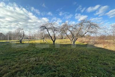 Teren de 2366 mp, în Bercu Roșu - 5