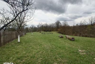 Teren de 9370 mp, în Baia de Criș - 3