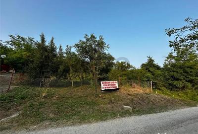 Teren de 8200 mp, în Podgoria