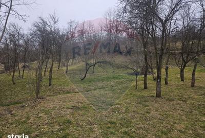Casă cu 5 camere cu Teren 1958 Mp în Central - 7