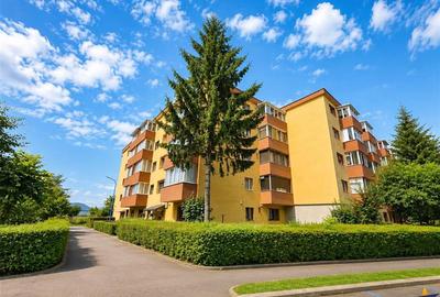Apartament cu 2 camere decomandat în Triaj