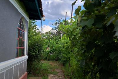 Casă cu 4 camere în Sinești - 2