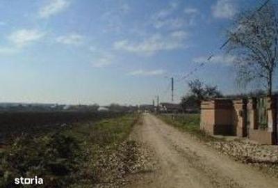 Teren de 935 mp, în Găneasa - 5