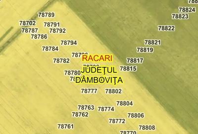Teren de 12000 mp, în Răcari