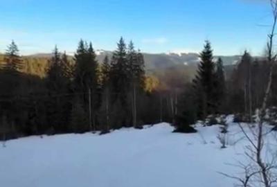Spațiu comercial, în Pojorâta - 1