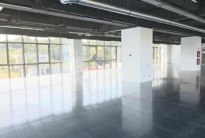 Birou, de 316 mp, în Gruia - 11