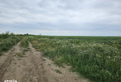 Teren de 14832 mp, în Central - 3