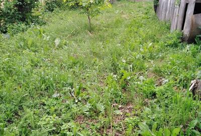 Teren de 2250 mp, în Smeura - 20