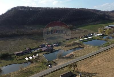 Teren de 7000 mp, în Hoghilag - 9