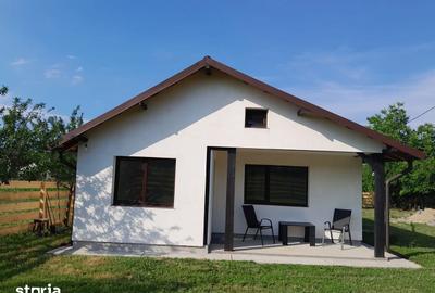 Casă cu 3 camere cu Teren 700 Mp în Merișani - 6