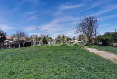 Teren Construcții intravilan de 16058 mp, în Țiglari - 1