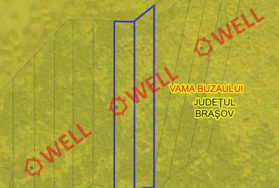 Teren de 23000 mp, în Vama Buzăului - 4