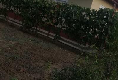 Casă cu 4 camere cu Teren 1000 Mp în Lehliu - 1