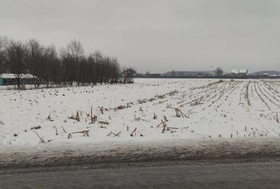 Teren Construcții intravilan de 5700 mp, în Hărman - 2