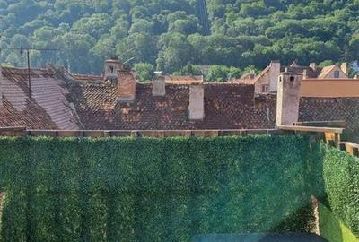 Hotel/Pensiune, de 210 mp, în Centrul Istoric - 3