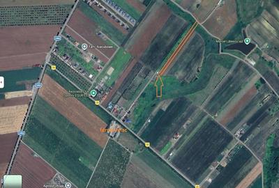 Teren de 5000 mp, în Miroslava