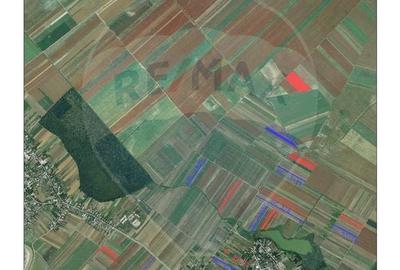 Teren Construcții intravilan de 9115 mp, în Nuci - 1