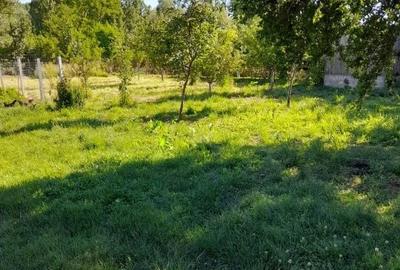 Casă cu 2 camere cu Teren 1800 Mp în Central