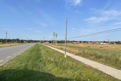 Teren de 3000 mp, în Țuțora - 4