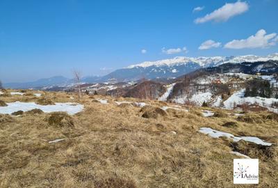 Teren Construcții extravilan de 150000 mp, în Șirnea - 8