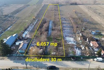 Teren Construcții intravilan de 6057 mp, în Rădulești