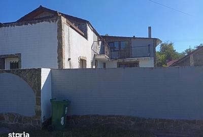 Casă cu 4 camere cu Teren 250 Mp în Teliucu Inferior